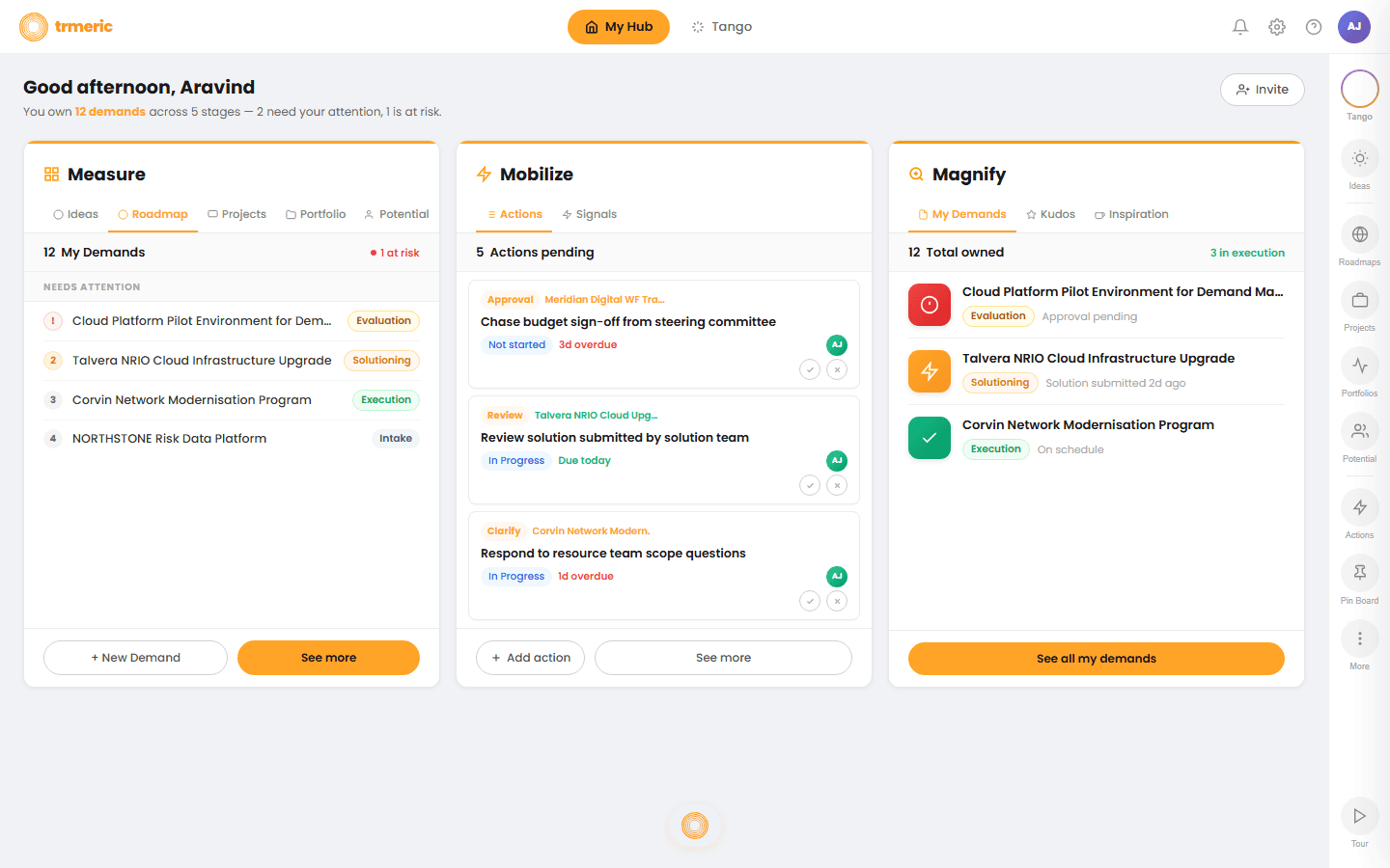 Trmeric My Hub, the main demand grid