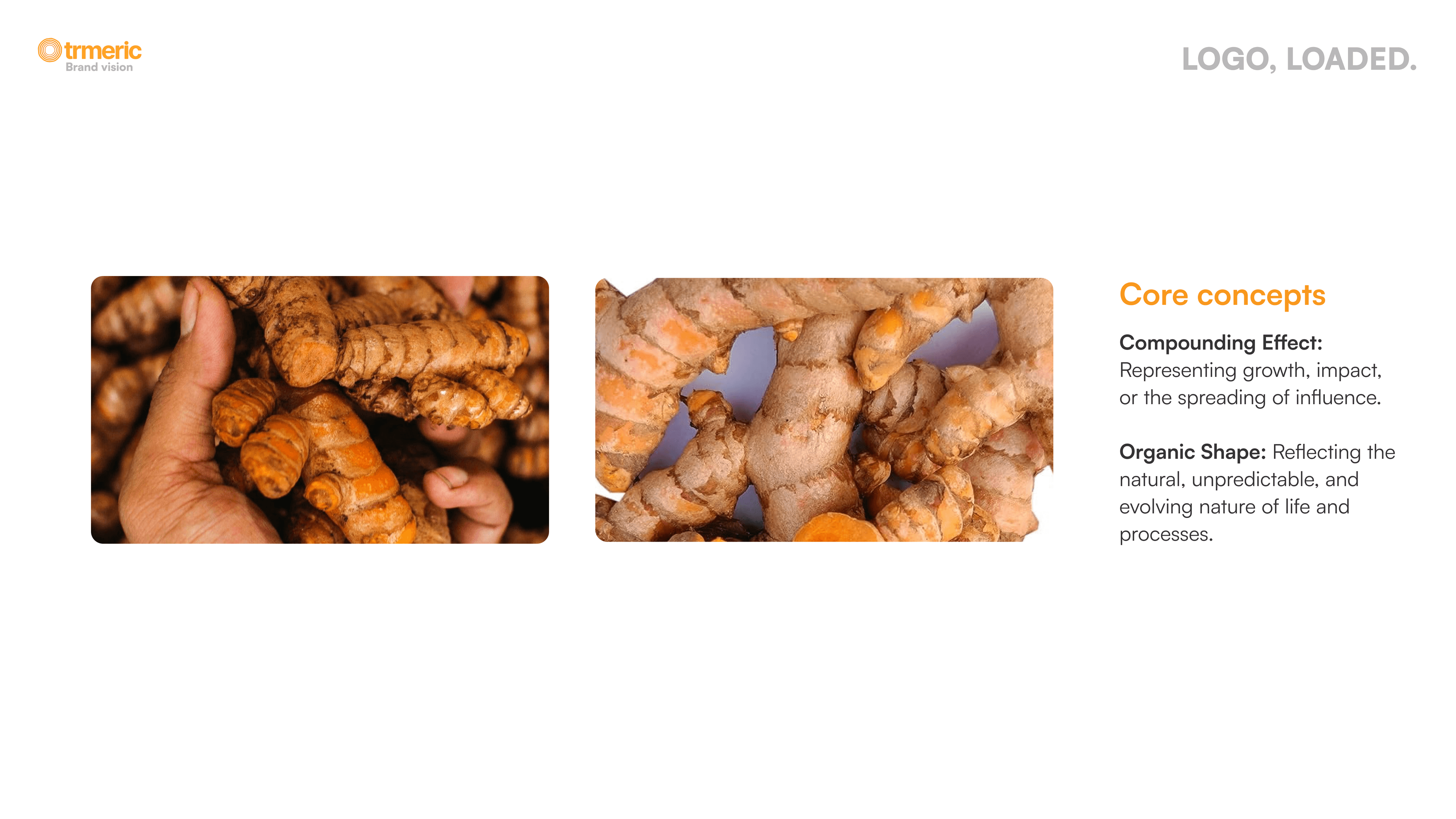 Actual turmeric rhizomes photographed, compounding effect and organic shape as core brand concepts
