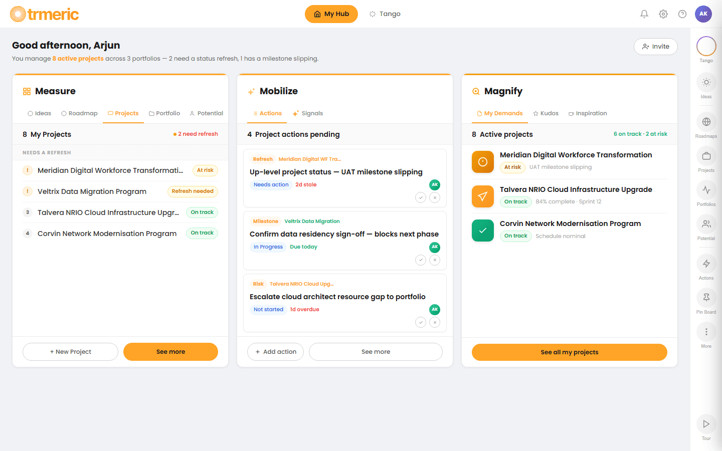 Project Manager — execution board and status health